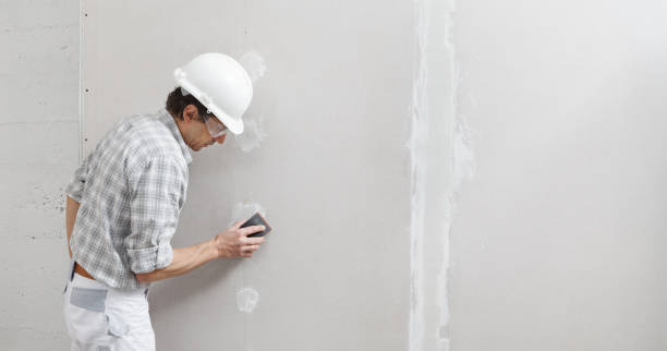 Best Fire-Damaged Drywall Repair  in Reedsburg, WI