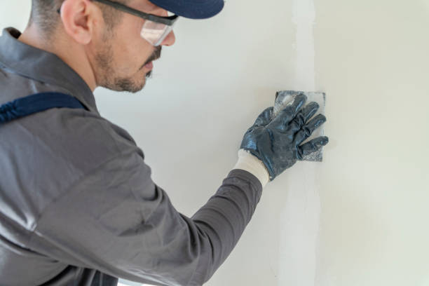 Best Commercial Painting  in Reedsburg, WI