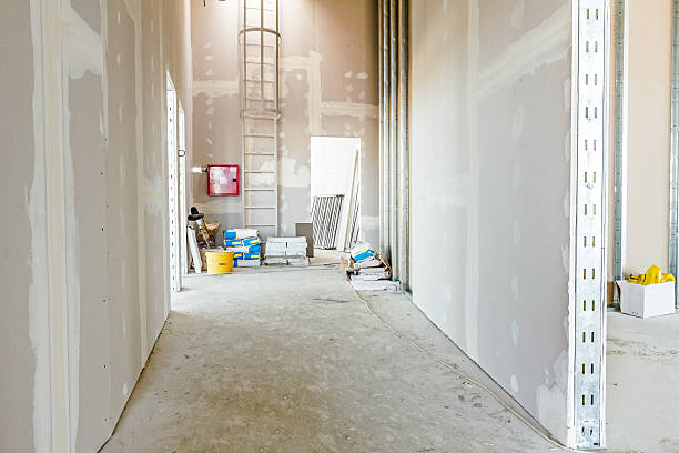 Best Water-Damaged Drywall Repair  in Reedsburg, WI